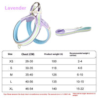 HKM-6340541 Lightweight Y-Type Pet Harness with Hand Holding Rope for Easy Dog Walking