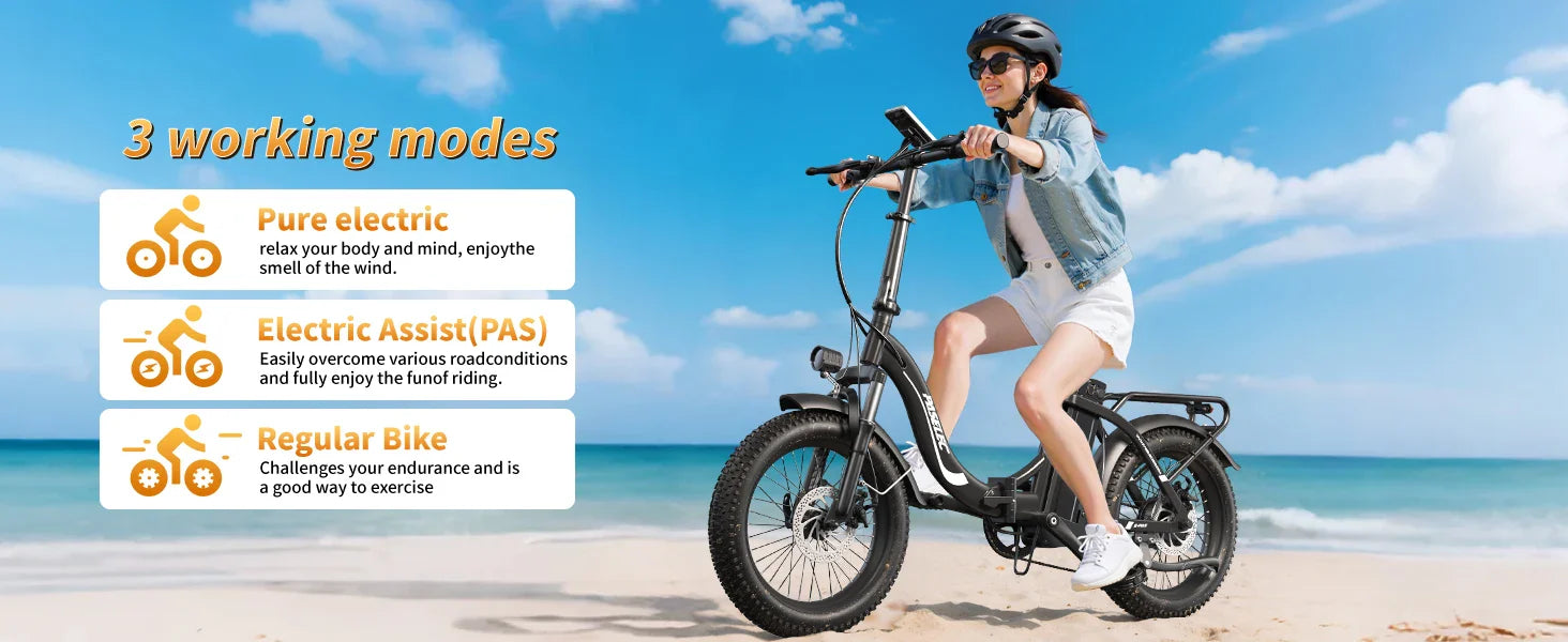HKM-634067 Foldable 48V 16Ah Electric Bicycle with 20" Fat Tires and 7-Speed Gears for Adults