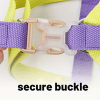 HKM-6342205 Rainbow Colorblock Anti-Escape Pet Harness and Leash Set for Dogs