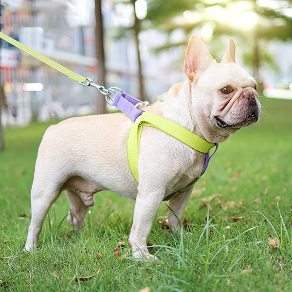 HKM-6342205 Rainbow Colorblock Anti-Escape Pet Harness and Leash Set for Dogs