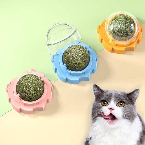 HKM-6359485 Catnip Molar Toy for Cats - Mint & Polygonum Multiflorum Flavors, Assorted Colors