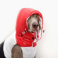 HKM-6366141 Autumn and Winter Down Vest for Pets - Stylish, Comfortable, Multiple Sizes Available