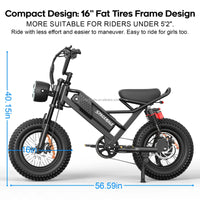 HKM-637523 750W 16-Inch Fat Tire Electric Mountain Bike with Dual Suspension, Integrated Battery, and LCD Display