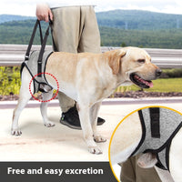 HKM-6378557 Elderly Dog Back-Style Auxiliary Strap in Heather Gray, Size S (Waist 40-46, Leg Circumference 24)