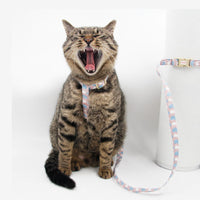 HKM-638035 Stylish Traction Rope for Cats and Dogs - Adjustable Cloth Collar in Love Colors