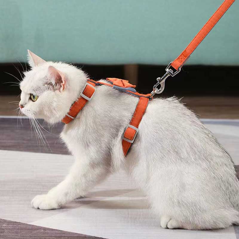 HKM-6387261 Color-Blocked Cotton-Filled Cat Leash with Bow Knot and Adjustable Chest Strap