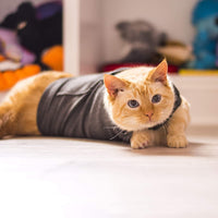 HKM-6389181 Summer Dark Gray Pet Vest for Dogs and Cats - Available in Sizes S, M, L, Made of Durable Polyester