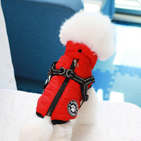 HKM-6389437 Adjustable Pet Cotton Vest with Traction for Comfort and Support