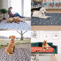 HKM-639123 Washable PVC Pet Diapers for Dogs and Cats - Moisture-Proof, Multi-Size Options Available