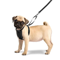 HKM-6394557 Breathable Reflective Nylon Dog Chest Strap for Comfort and Safety, Size L