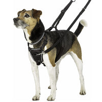 HKM-6394557 Breathable Reflective Nylon Dog Chest Strap for Comfort and Safety, Size L