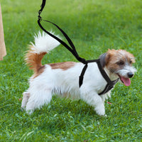 HKM-6394557 Breathable Reflective Nylon Dog Chest Strap for Comfort and Safety, Size L