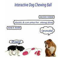 HKM-6395581 Multifunctional Interactive Dog Molar Bite Toy for Relieving Boredom and Strengthening Bond