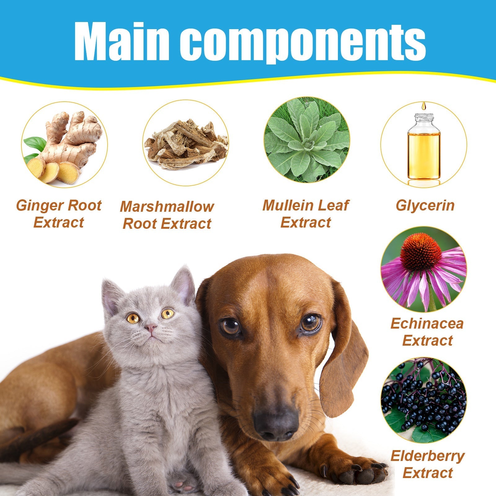 HKM-6398397 Herbal Cough Relief Drops for Pets with Natural Extracts, 60ml