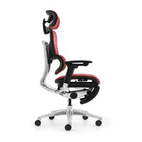 HKM-639955 Ergonomic High Back Office Chair with Adjustable Headrest and Nylon Mesh Fabric Design