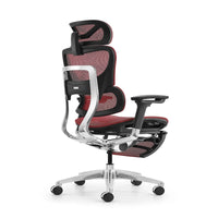 HKM-639955 Ergonomic High Back Office Chair with Adjustable Headrest and Nylon Mesh Fabric Design