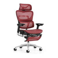 HKM-639955 Ergonomic High Back Office Chair with Adjustable Headrest and Nylon Mesh Fabric Design