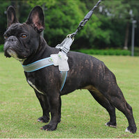 HKM-6399805 Breathable Mesh Dog Harness with Hand Holding Rope in Multiple Colors