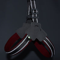 HKM-6399805 Breathable Mesh Dog Harness with Hand Holding Rope in Multiple Colors