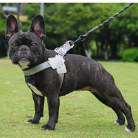HKM-6399805 Breathable Mesh Dog Harness with Hand Holding Rope in Multiple Colors
