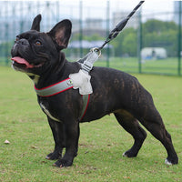 HKM-6399805 Breathable Mesh Dog Harness with Hand Holding Rope in Multiple Colors