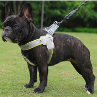 HKM-6399805 Breathable Mesh Dog Harness with Hand Holding Rope in Multiple Colors