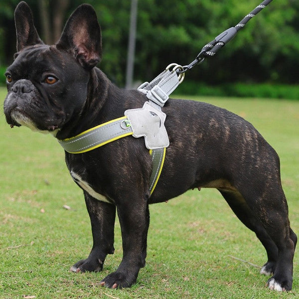 HKM-6399805 Breathable Mesh Dog Harness with Hand Holding Rope in Multiple Colors