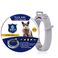 HKM-6402493 Adjustable Dog and Cat Flea and Tick Prevention Collar for Children