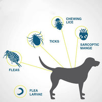 HKM-6402493 Adjustable Dog and Cat Flea and Tick Prevention Collar for Children