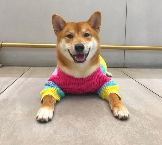 HKM-6404669 Rainbow Wool Sweater for Small Dogs and Puppies - Sizes S to 3XL