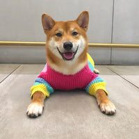 HKM-6404669 Rainbow Wool Sweater for Small Dogs and Puppies - Sizes S to 3XL