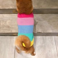HKM-6404669 Rainbow Wool Sweater for Small Dogs and Puppies - Sizes S to 3XL