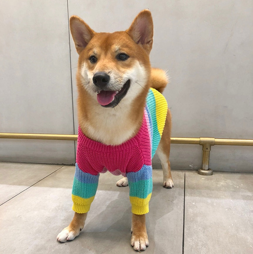 HKM-6404669 Rainbow Wool Sweater for Small Dogs and Puppies - Sizes S to 3XL