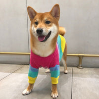 HKM-6404669 Rainbow Wool Sweater for Small Dogs and Puppies - Sizes S to 3XL