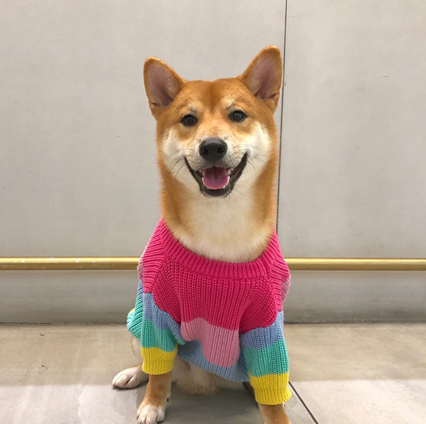 HKM-6404669 Rainbow Wool Sweater for Small Dogs and Puppies - Sizes S to 3XL