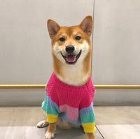 HKM-6404669 Rainbow Wool Sweater for Small Dogs and Puppies - Sizes S to 3XL