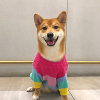 HKM-6404669 Rainbow Wool Sweater for Small Dogs and Puppies - Sizes S to 3XL
