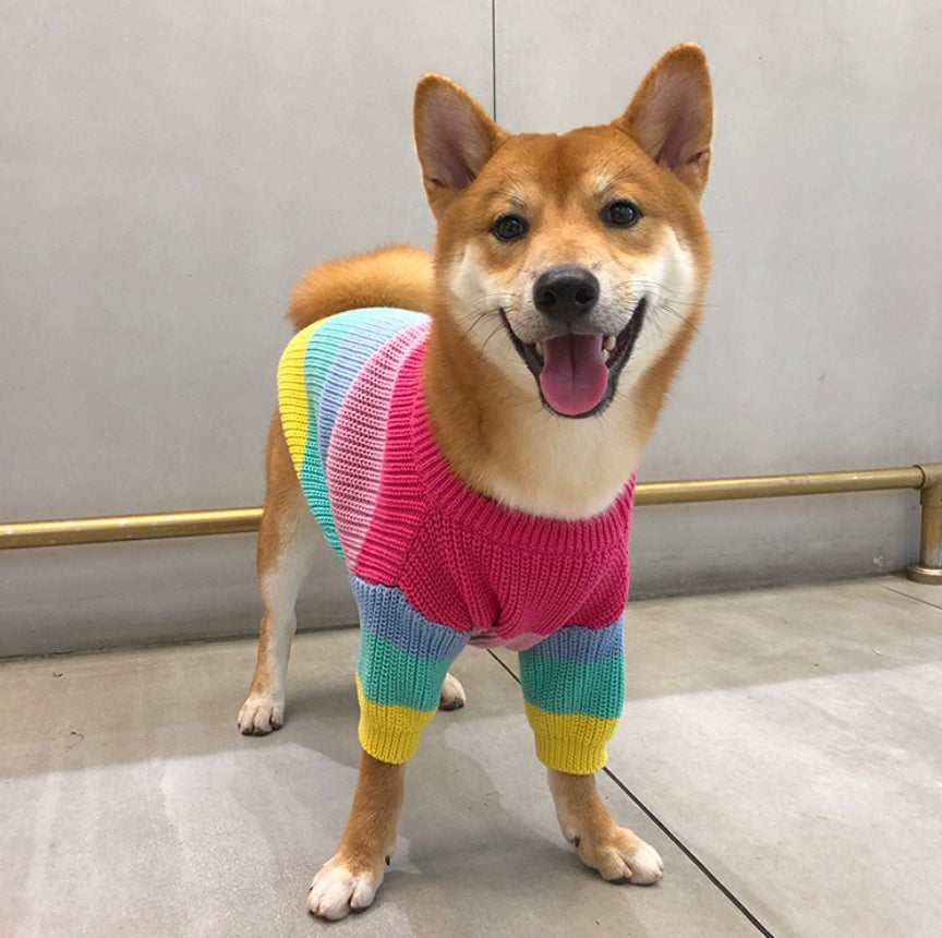 HKM-6404669 Rainbow Wool Sweater for Small Dogs and Puppies - Sizes S to 3XL