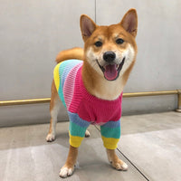 HKM-6404669 Rainbow Wool Sweater for Small Dogs and Puppies - Sizes S to 3XL