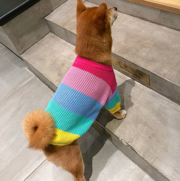 HKM-6404669 Rainbow Wool Sweater for Small Dogs and Puppies - Sizes S to 3XL