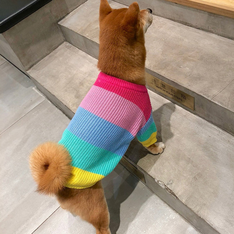 HKM-6404669 Rainbow Wool Sweater for Small Dogs and Puppies - Sizes S to 3XL
