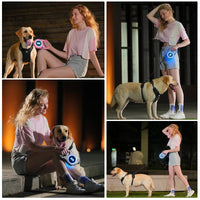 HKM-6406077 LED Retractable Dog Leash with Light - USB Rechargeable, Multiple Colors Available