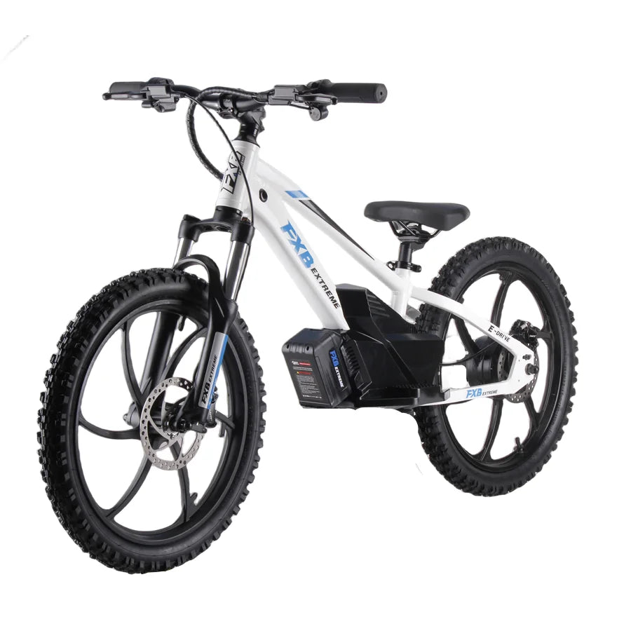 HKM-640915 20-Inch Electric Balance Bike with 400W Motor and Hydraulic Disc Brake