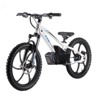 HKM-640915 20-Inch Electric Balance Bike with 400W Motor and Hydraulic Disc Brake