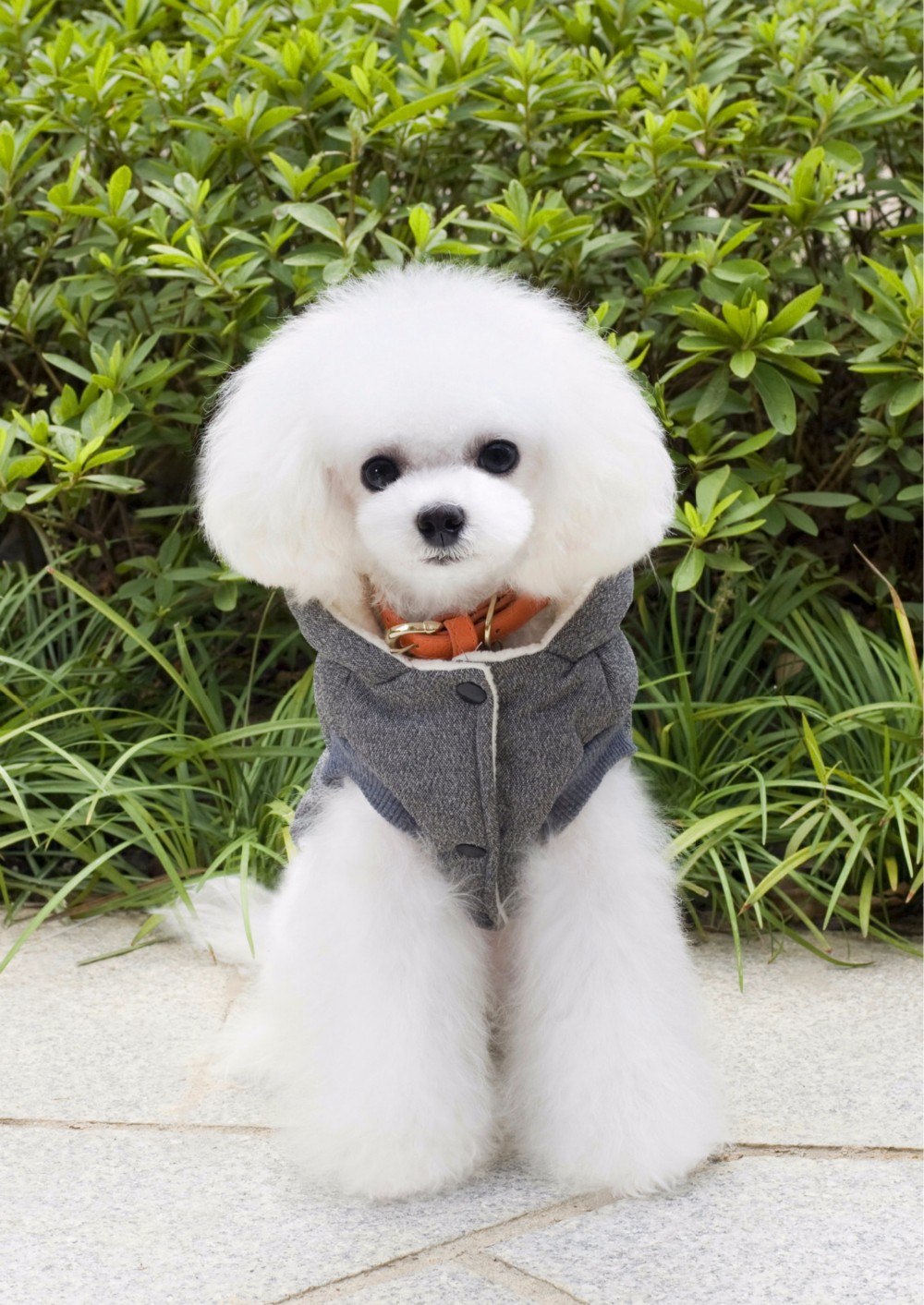 HKM-6410429 Cozy Small Pet Cotton Jacket with Lamb Wool Lining for Autumn and Winter