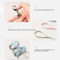 HKM-6411837 I-shaped Pet Traction Rope for Secure Walking - Polyester Material, Available in Pale Blue-Green, Deciduous Yellow, Spider Silk Powder
