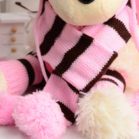 HKM-6414397 Three-Piece Warm Pet Hat, Scarf, and Foot Cover Set for Winter Protection