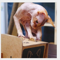 HKM-6422589 Interactive Corrugated Cat Toy - Engaging Hamster Design for Hours of Fun