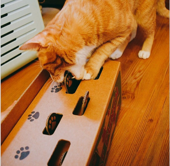 HKM-6422589 Interactive Corrugated Cat Toy - Engaging Hamster Design for Hours of Fun