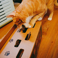 HKM-6422589 Interactive Corrugated Cat Toy - Engaging Hamster Design for Hours of Fun